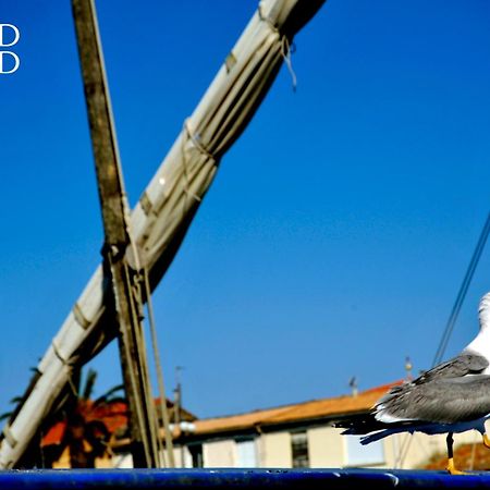 Le Soleil Couchant Studio Vue Mer Le Grau-du-Roi Eksteriør bilde